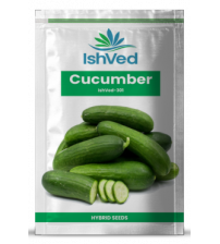 Cucumber / Kakri IVCUH-301 50 grams